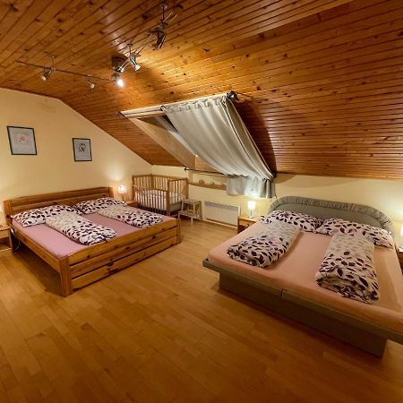 Ubytovani Duskovi Villa Lipno nad Vltavou Ngoại thất bức ảnh